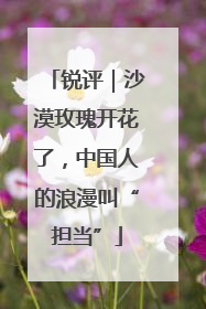 锐评｜沙漠玫瑰开花了，中国人的浪漫叫“担当”