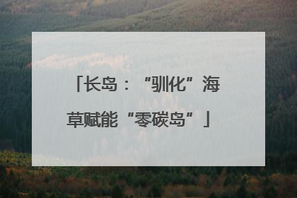 长岛：“驯化”海草赋能“零碳岛”