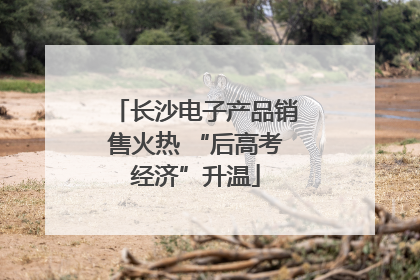 长沙电子产品销售火热 “后高考经济”升温