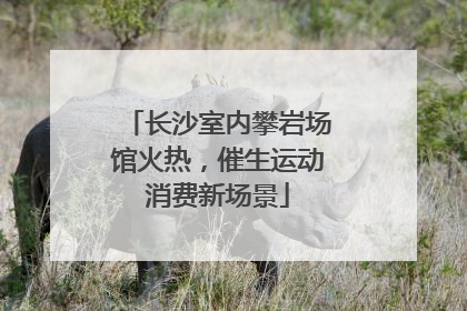 长沙室内攀岩场馆火热，催生运动消费新场景