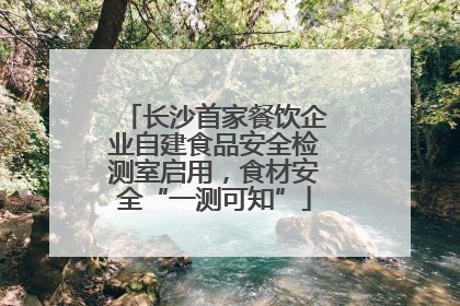 长沙首家餐饮企业自建食品安全检测室启用，食材安全“一测可知”