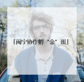 闽宁协作孵“金”蛋