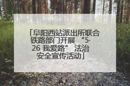 阜阳西站派出所联合铁路部门开展 “5·26 我爱路” 法治安全宣传活动