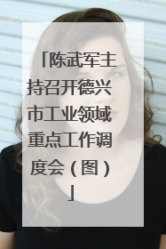 陈武军主持召开德兴市工业领域重点工作调度会（图）
