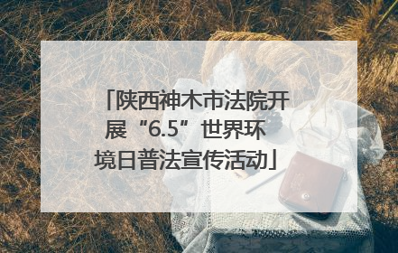 陕西神木市法院开展“6.5”世界环境日普法宣传活动