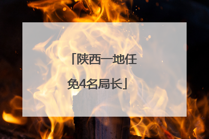 陕西一地任免4名局长