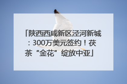 陕西西咸新区泾河新城：300万美元签约！茯茶“金花”绽放中亚