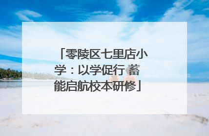 零陵区七里店小学：以学促行 蓄能启航校本研修
