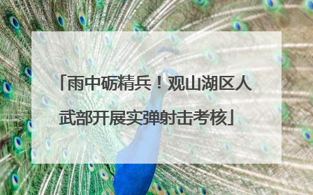 雨中砺精兵！观山湖区人武部开展实弹射击考核