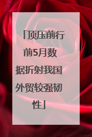 顶压前行 前5月数据折射我国外贸较强韧性