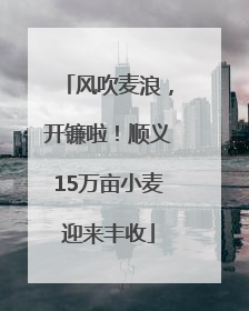 风吹麦浪，开镰啦！顺义15万亩小麦迎来丰收