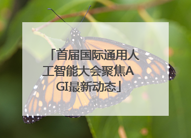 首届国际通用人工智能大会聚焦AGI最新动态