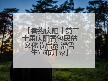 香约庆阳丨第二十届庆阳香包民俗文化节启幕 潘鲁生宣布开幕