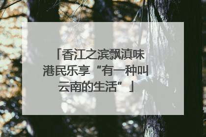 香江之滨飘滇味 港民乐享“有一种叫云南的生活”