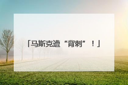 马斯克遭“背刺”！