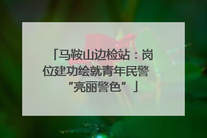 马鞍山边检站：岗位建功绘就青年民警“亮丽警色”