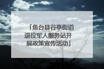 鱼台县谷亭街道退役军人服务站开展政策宣传活动
