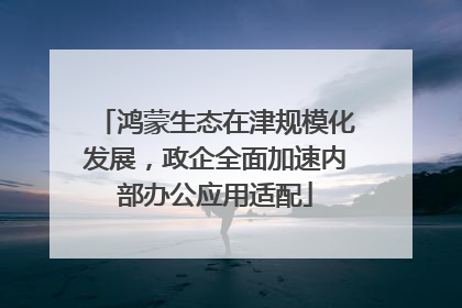 鸿蒙生态在津规模化发展，政企全面加速内部办公应用适配