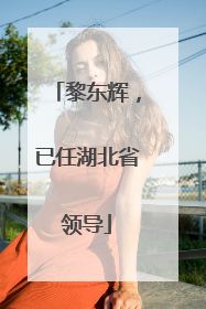 黎东辉，已任湖北省领导