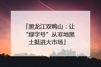 黑龙江双鸭山:让“绿字号”从寒地黑土挺进大市场