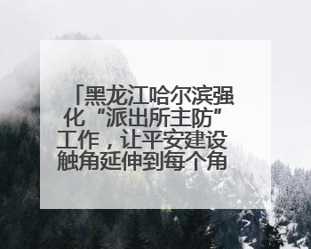 黑龙江哈尔滨强化“派出所主防”工作，让平安建设触角延伸到每个角落……