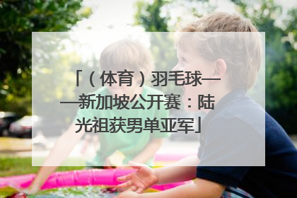 （体育）羽毛球——新加坡公开赛：陆光祖获男单亚军