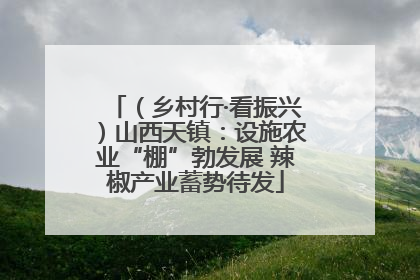（乡村行·看振兴）山西天镇：设施农业“棚”勃发展 辣椒产业蓄势待发