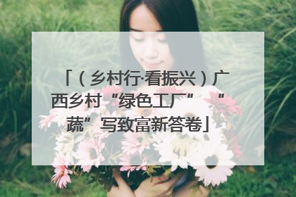 （乡村行·看振兴）广西乡村“绿色工厂” “蔬”写致富新答卷