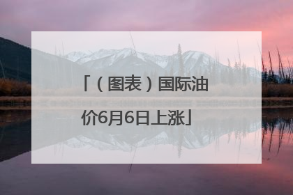 (图表)国际油价6月6日上涨
