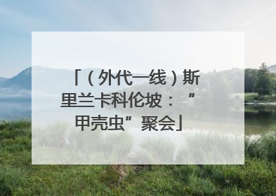 （外代一线）斯里兰卡科伦坡：“甲壳虫”聚会
