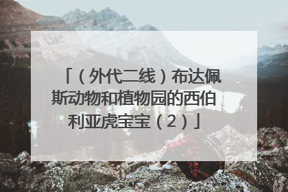 （外代二线）布达佩斯动物和植物园的西伯利亚虎宝宝（2）