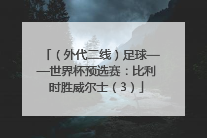 （外代二线）足球——世界杯预选赛：比利时胜威尔士（3）