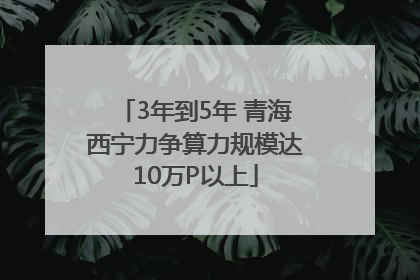 3年到5年 青海西宁力争算力规模达10万P以上