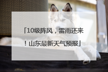 10级阵风，雷雨还来！山东最新天气预报