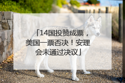 14国投赞成票，美国一票否决！安理会未通过决议