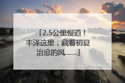 2.5公里慢道！丰泽这里，藏着初夏治愈的风……