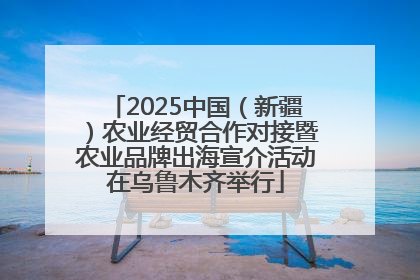 2025中国（新疆）农业经贸合作对接暨农业品牌出海宣介活动在乌鲁木齐举行
