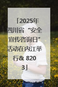 2025年四川省“安全宣传咨询日”活动在内江举行& 8203