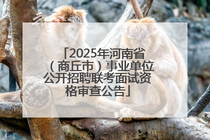2025年河南省（商丘市）事业单位公开招聘联考面试资格审查公告
