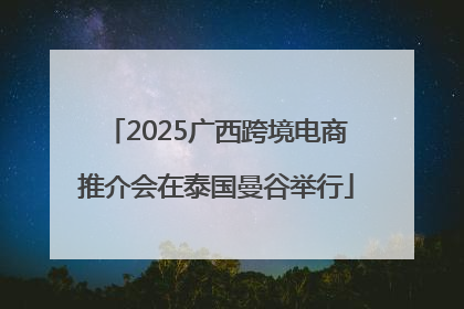 2025广西跨境电商推介会在泰国曼谷举行