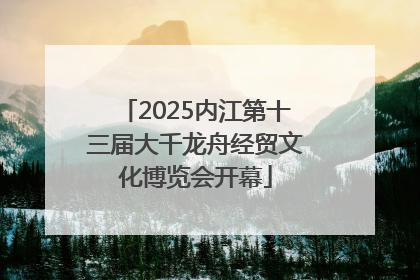 2025内江第十三届大千龙舟经贸文化博览会开幕