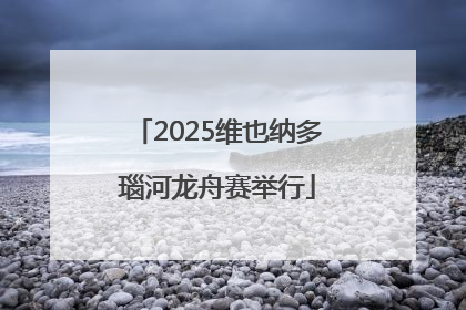 2025维也纳多瑙河龙舟赛举行