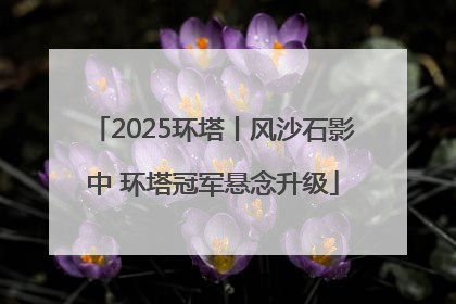 2025环塔丨风沙石影中 环塔冠军悬念升级