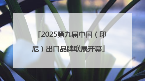 2025第九届中国（印尼）出口品牌联展开幕