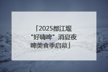 2025都江堰“好嗨啤”消夏夜啤美食季启幕