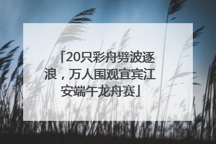 20只彩舟劈波逐浪，万人围观宜宾江安端午龙舟赛