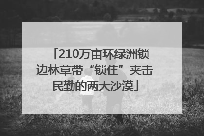 210万亩环绿洲锁边林草带“锁住”夹击民勤的两大沙漠