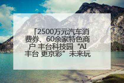 2500万元汽车消费券、60余家特色商户 丰台科技园“AI丰台 更京彩”未来玩家市集活动正式开幕