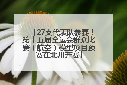 27支代表队参赛！第十五届全运会群众比赛（航空）模型项目预赛在北川开赛