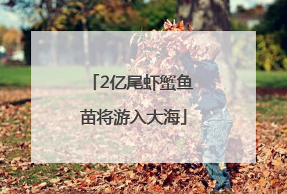 2亿尾虾蟹鱼苗将游入大海